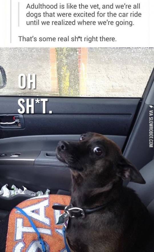 What+Adulthood+Is+Like