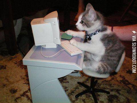 On+The+Internet%2C+No+One+Knows+You%26%23039%3Bre+A+Cat%26%238230%3B