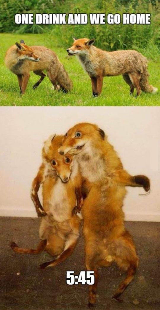 Gettin%26%238217%3B+foxy