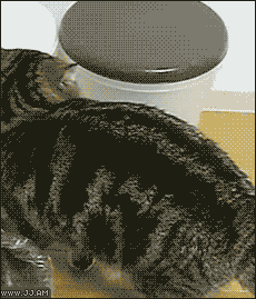 If+it+fits%2C+I+sits.