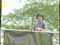 Snakes+can+fly%3F%21