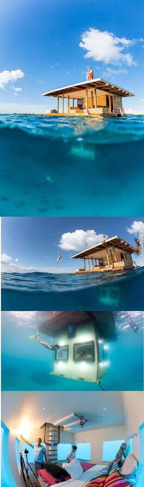 I%26%23039%3Bd+live+here+forever%21