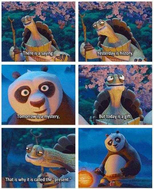 A+wise+turtle+once+said