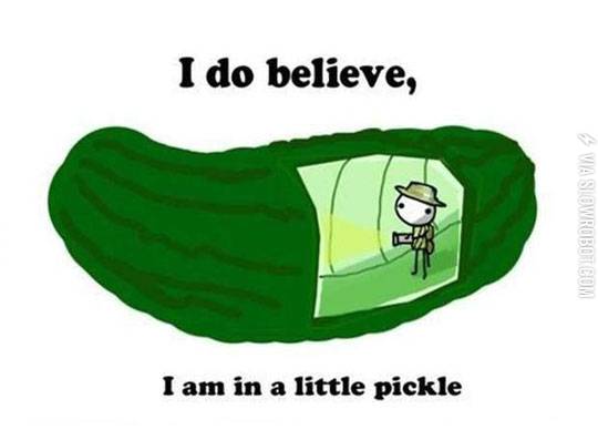 I+am+in+a+little+pickle.