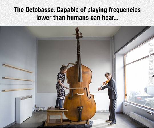 That+Is+One+Big+Instrument