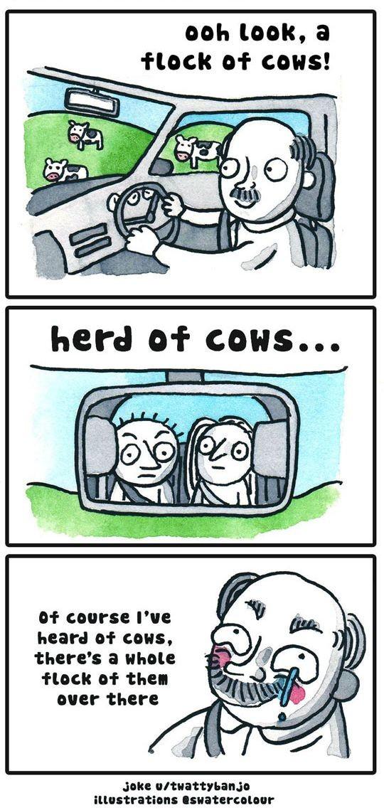 Ooh+Look%2C+A+Flock+of+Cows%21