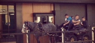 This+horse+and+carriage+was+spotted+at+the+drive-thru+in+Ireland%26%238230%3B