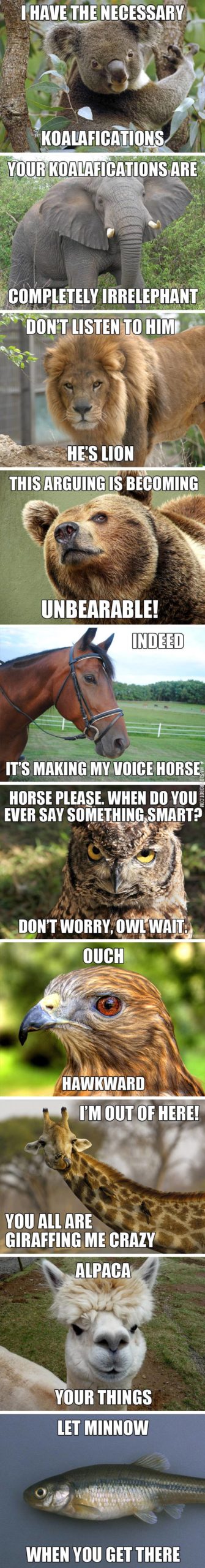 This+is+why+every+species+has+its+own+language%26%238230%3B