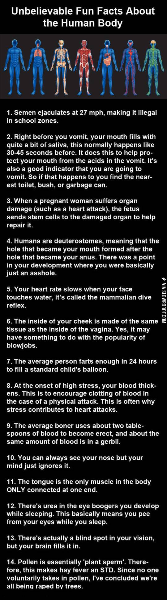 The+Human+Body%26%238217%3Bs+Weirdly+Awesome