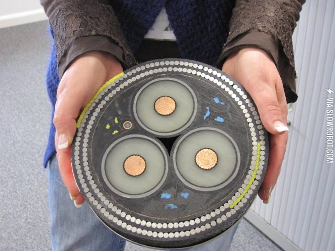 The+cross+section+of+an+undersea+cable