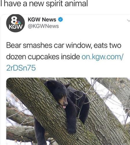 I+Have+A+New+Spirit+Animal