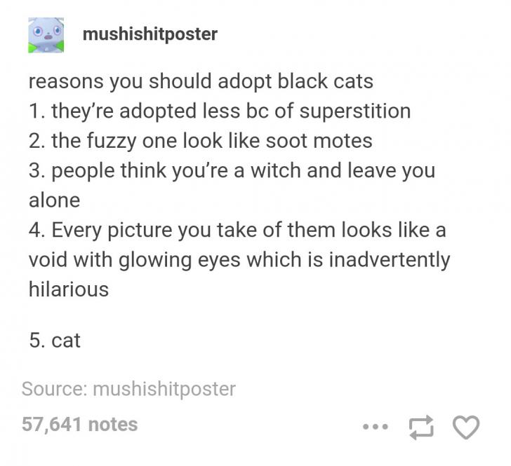 Why+you+should+adopt+black+cats