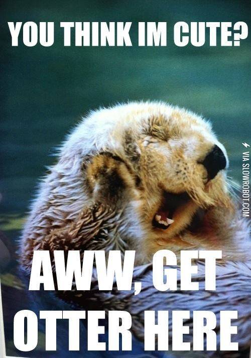 You+think+I%26%238217%3Bm+cute%3F+Aww%2C+get+otter+here.
