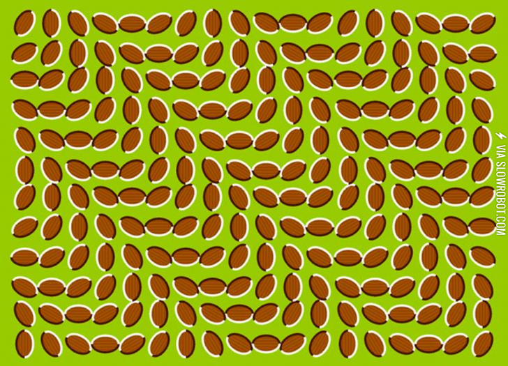 what+being+on+drugs+is+like