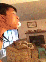 The+Amazing+Jellyfish