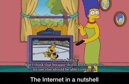 The+internet+in+a+nutshell