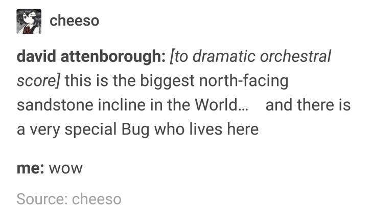 Special+Bug