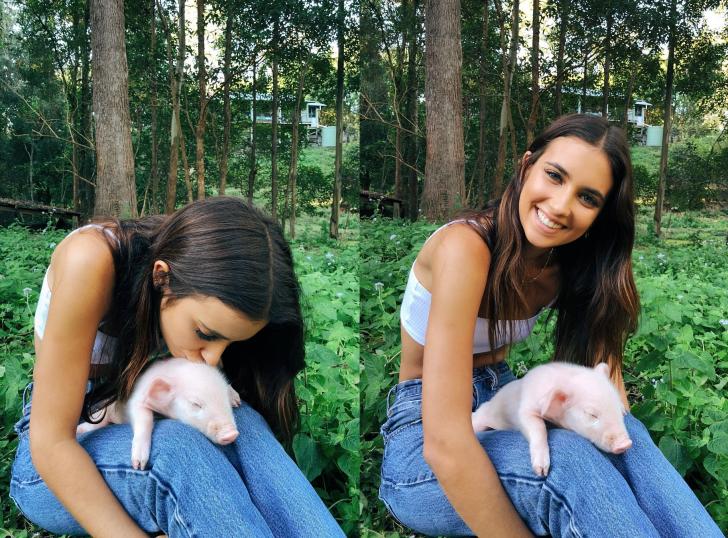 Piglet+takes+a+lap+nap