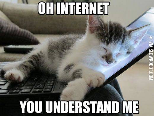 Oh+internet%2C+you+understand+me.