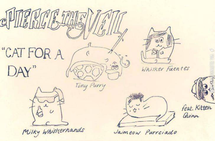 Cat+for+a+day%26%238230%3B+XO+Dying+OX