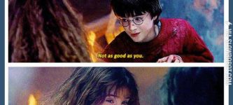 Hermione+vs.+Harry.