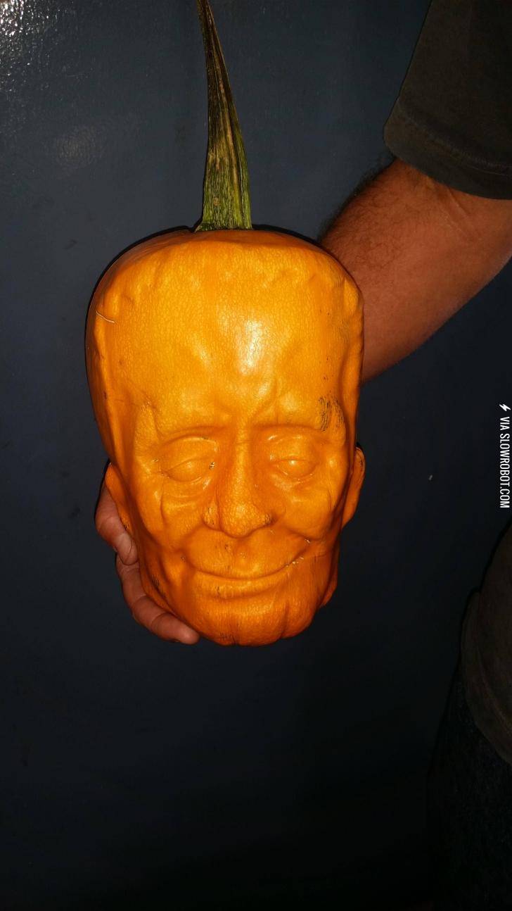 What+happens+when+you+grow+a+pumpkin+inside+a+plastic+mold.