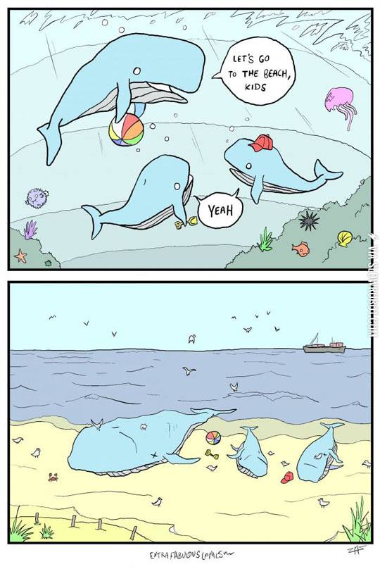 Whale%2C+I+Did+Not+Sea+That+Coming