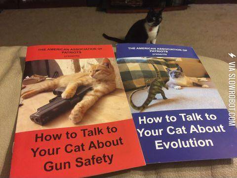 Time+to+educate+my+cats%21