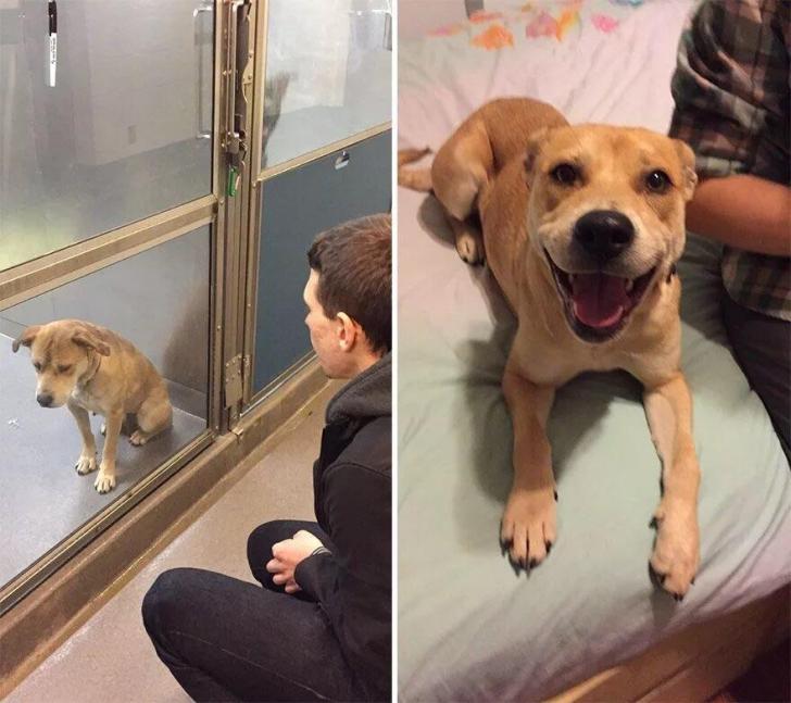 Before+and+after+adoption