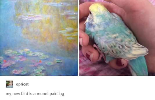 My+bird+is+a+masterpiece