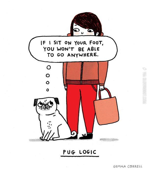 Pug+logic.