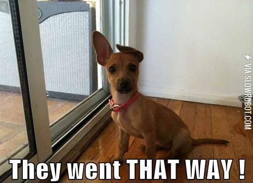 They+went+that+way%21