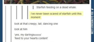 I%26%238217%3Bve+never+been+more+scared+of+starfish%26%238230%3B