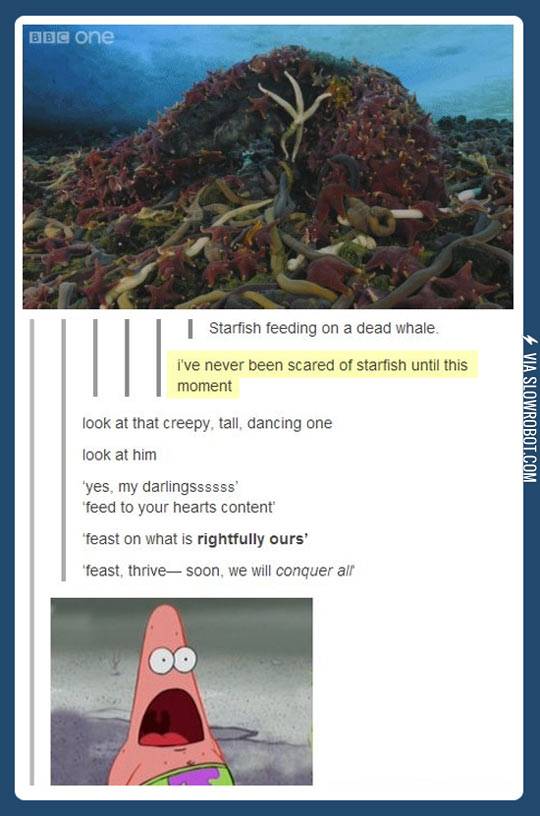 I%26%238217%3Bve+never+been+more+scared+of+starfish%26%238230%3B