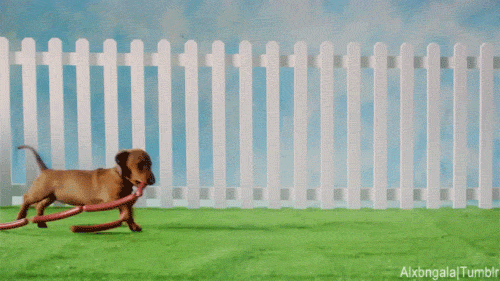 Someone+loves+weiners%26%238230%3B