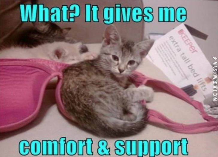 I+fit+perfectly+in+a+C+cup.