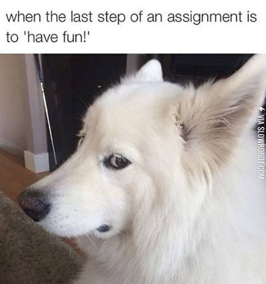 Last+Step+Of+An+Assignment