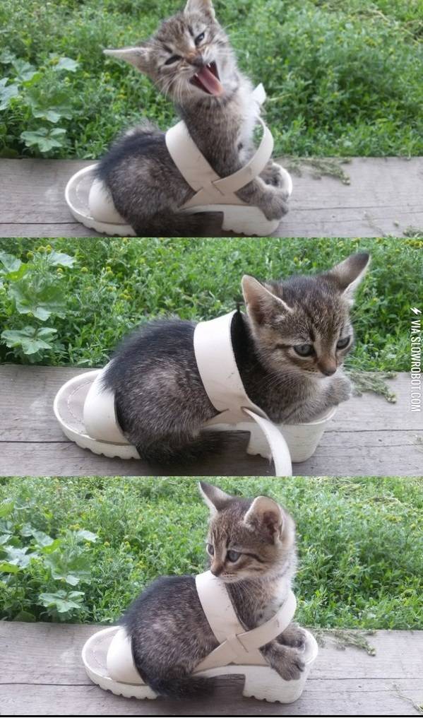 If+it+fits%26%238230%3B