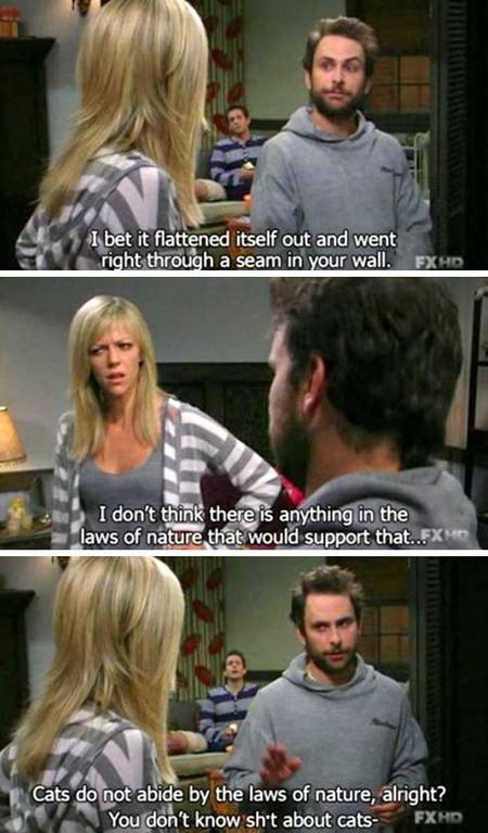 Cats+Vs.+Laws+Of+Nature