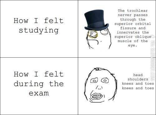 How+I+felt+studying+vs.+how+I+felt+during+the+exam.