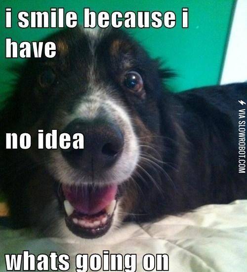 The+truth+about+dogs.