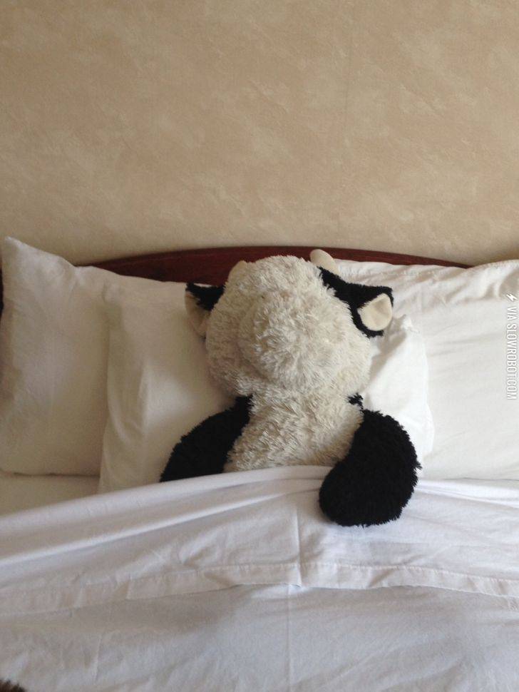 Left+cow+on+bed.+Hotel+maid+didn%26%238217%3Bt+disappoint.
