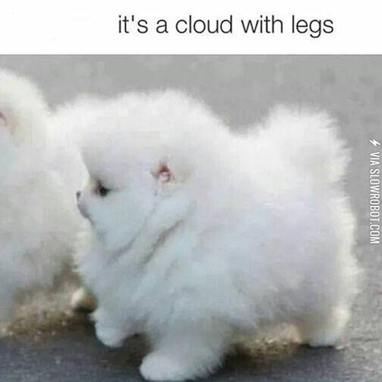 That+Fluffiness