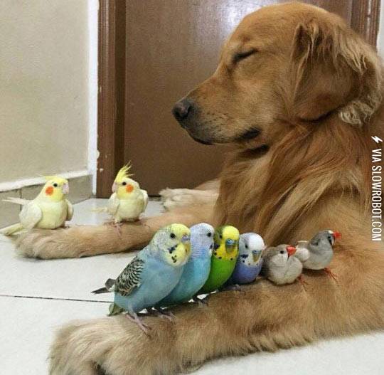 It+Seems+He+Reached+Enlightenment