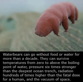 An+Example+Of+Perfect+Evolution