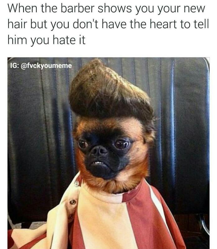 When+you+don%26%238217%3Bt+have+the+heart+to+tell+your+barber+you+hate+your+haircut