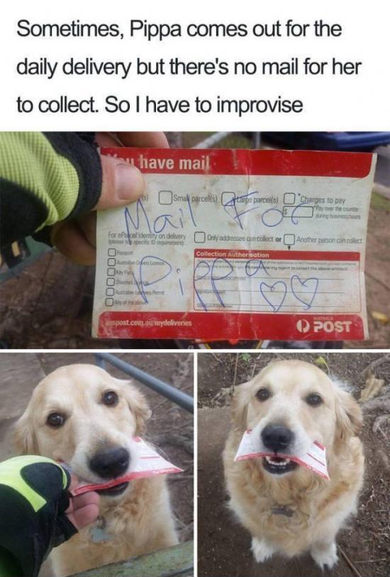 Mail+for+pippa
