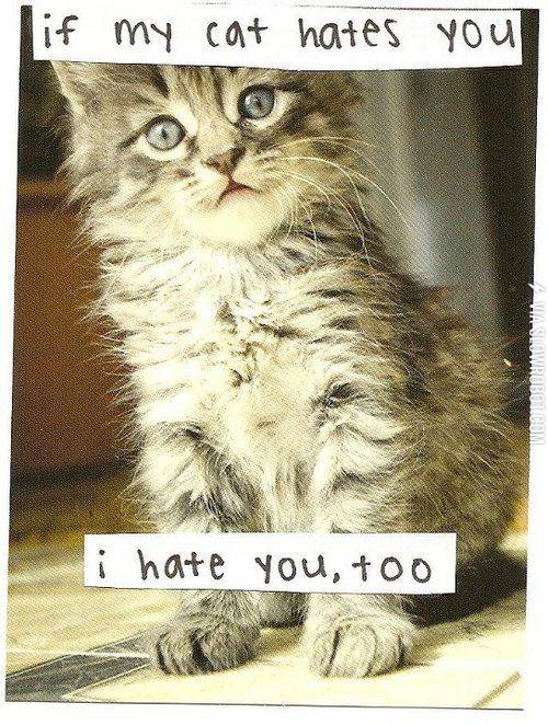 If+my+cat+hates+you.+I+hate+you%2C+too.