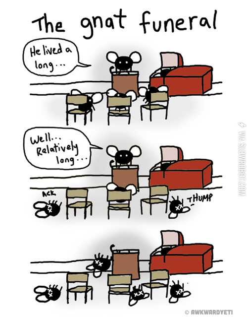 The+gnat+funeral.