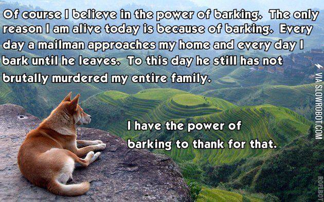 The+power+of+barking